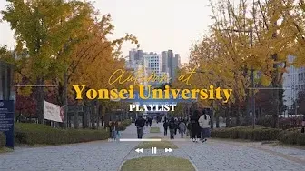 세연넷 5 세연넷 살펴보기 3