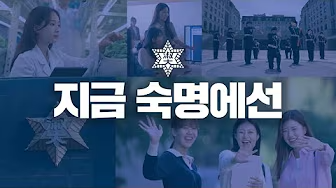 스노로즈 5 스노로즈 살펴보기 3