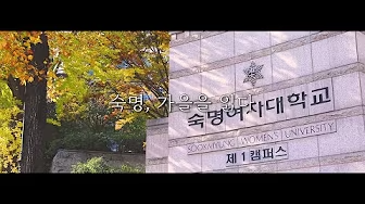 스노로즈 6 스노로즈 살펴보기 4