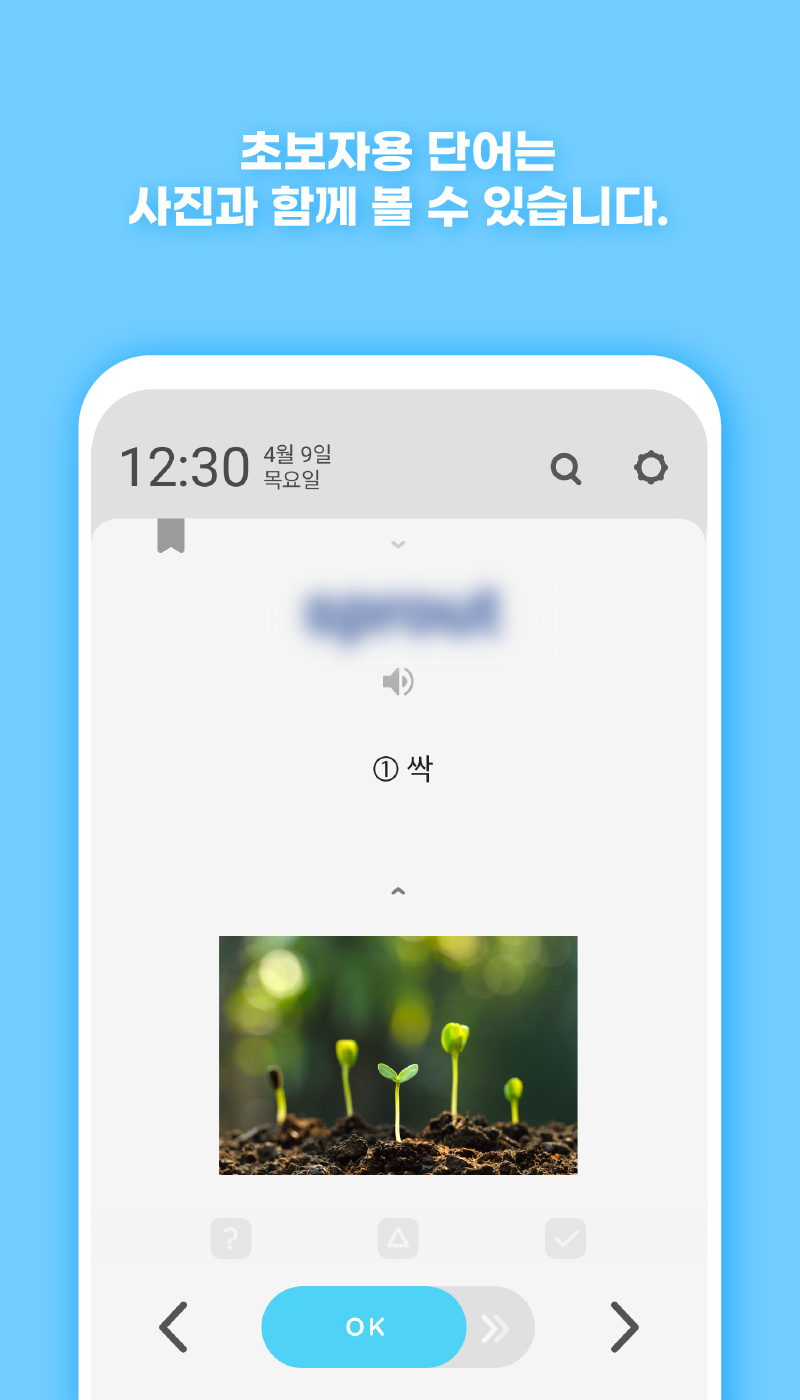 워드빗 터키어 3 워드빗 터키어 살펴보기 2