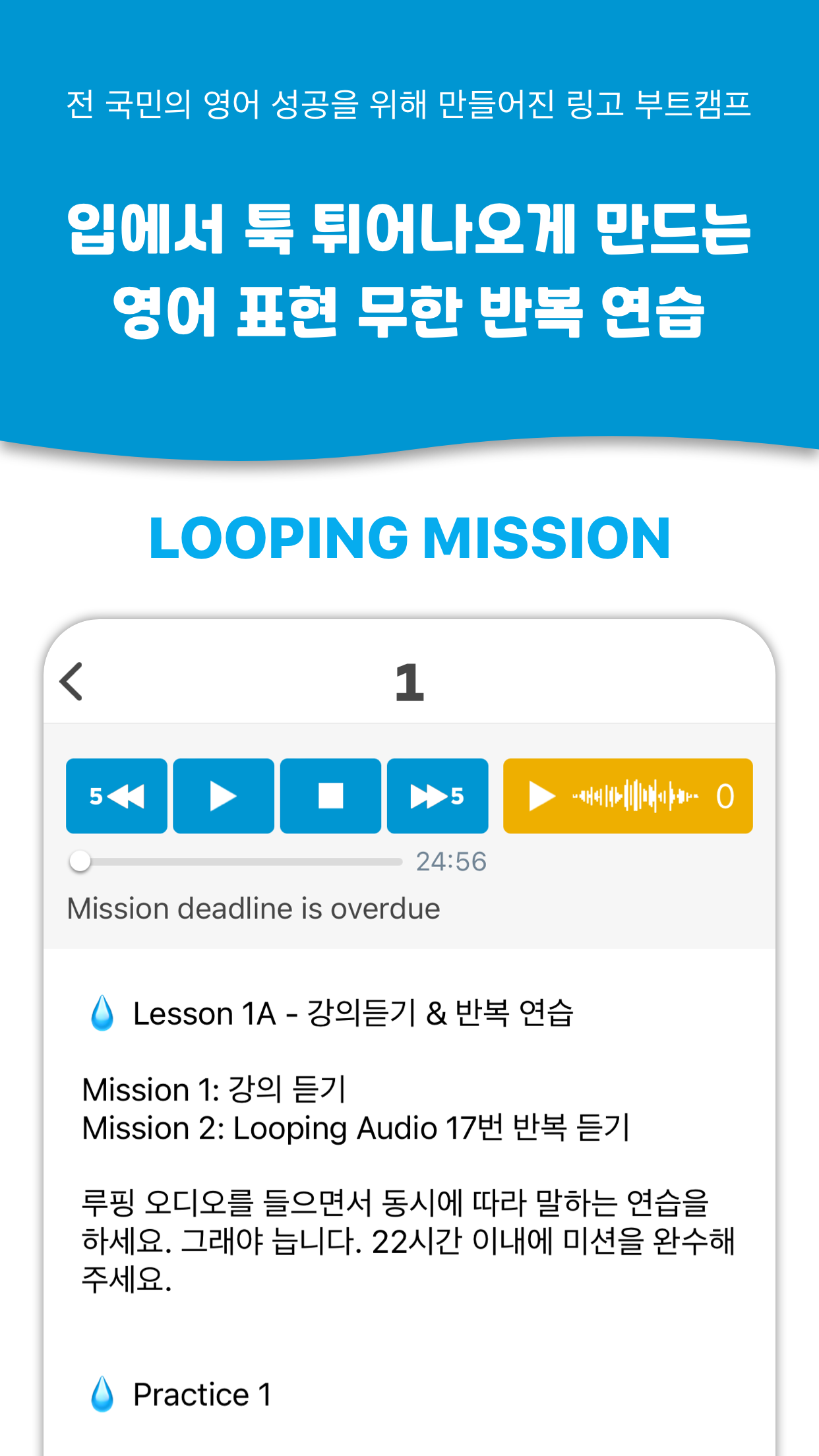 링고 부트캠프 4 링고 부트캠프 살펴보기 2