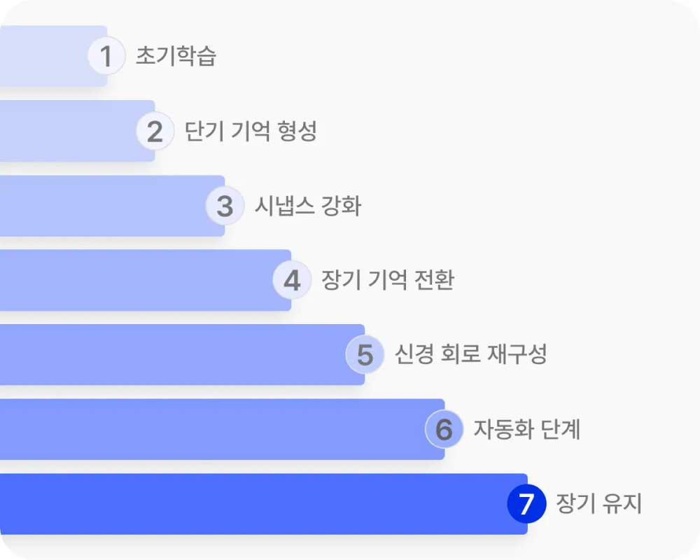 링고 부트캠프 11 링고 부트캠프 살펴보기 7