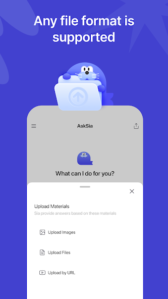 AskSia 19 AskSia 살펴보기 16