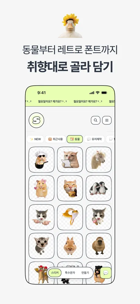 스꾸 13 스꾸 살펴보기 11